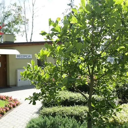 Oaza Blonie Standard - 3 * Курник