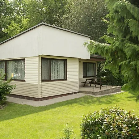 Orman Evi Oaza Blonie Standard - 3 *