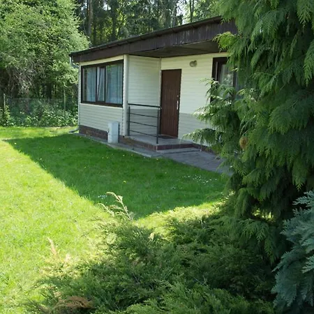 Oaza Blonie Standard - 3