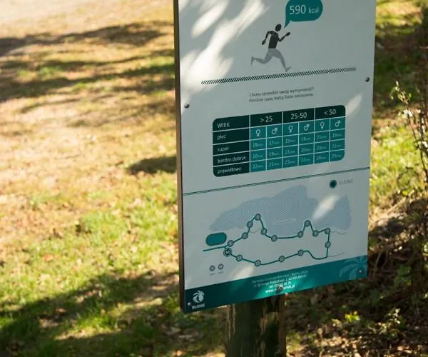 Oaza Blonie Standard - 3 Lodge Kórnik