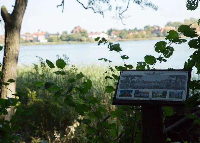 Domek letniskowy Oaza Blonie Standard - 3 Kórnik