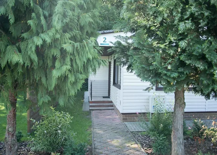 Oaza Blonie Standard - 3