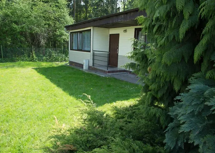 Oaza Blonie Standard - 3